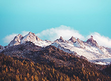 体育问答-评述：竞技规则只有与胜负相关才有生命力