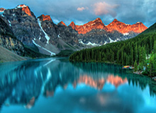 收获迷弟一枚！开拓者官方晒夏普与小男孩互动视频